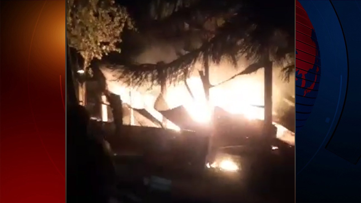 খামারে আগুন, পুড়ে ছাই কোরবানির হাটে বিক্রির ১৩ গরু