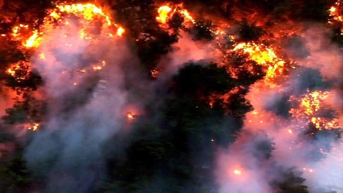 ভয়াবহ দাবানলে পুড়ছে ব্রাজিল