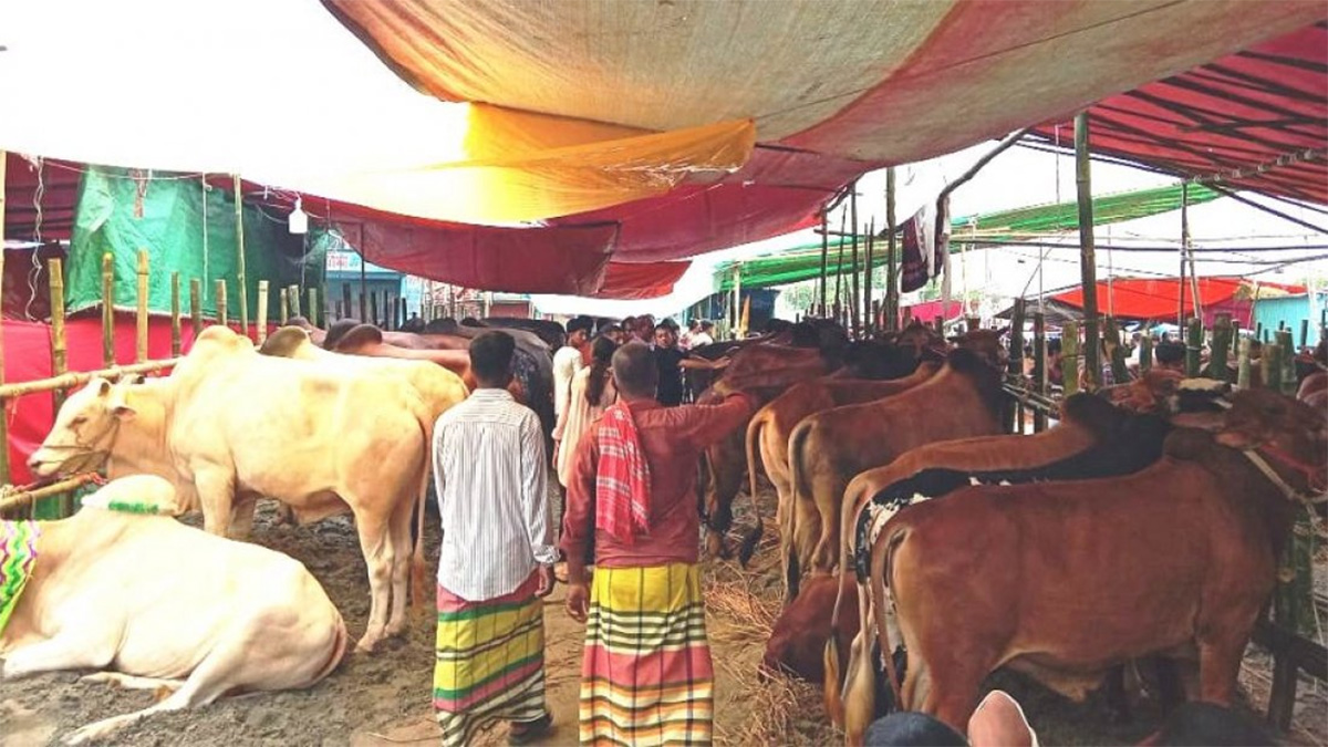 আফতাবনগর ও মেরাদিয়ায় পশুর হাট না বসাতে হাইকোর্টের আদেশ বহাল