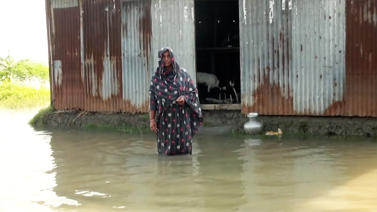 উত্তরে বন্যা পরিস্থিতির ‘কিছুটা’ উন্নতি, বেরিয়ে আসছে ক্ষতচিহ্ন