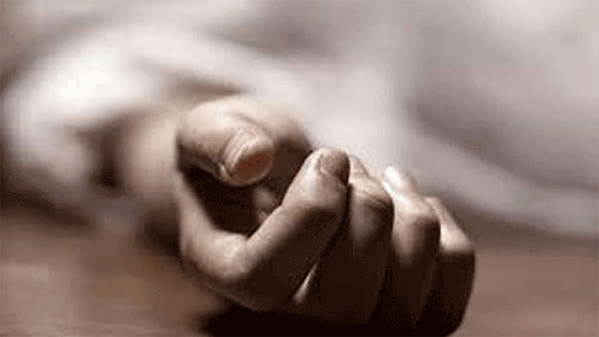 ঝিনাইদহে ভ্যান উল্টে শিশুর মৃত্যু