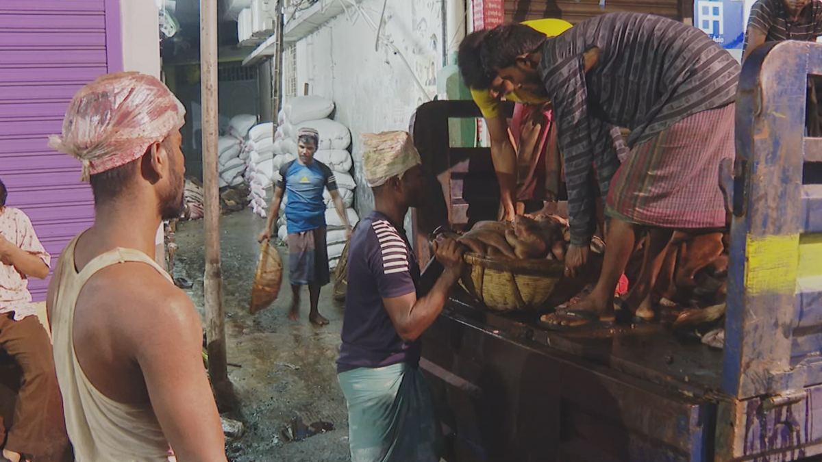 পশুর চামড়া নিয়ে বিপদে মৌসুমি ও খুচরা ব্যবসায়ীরা