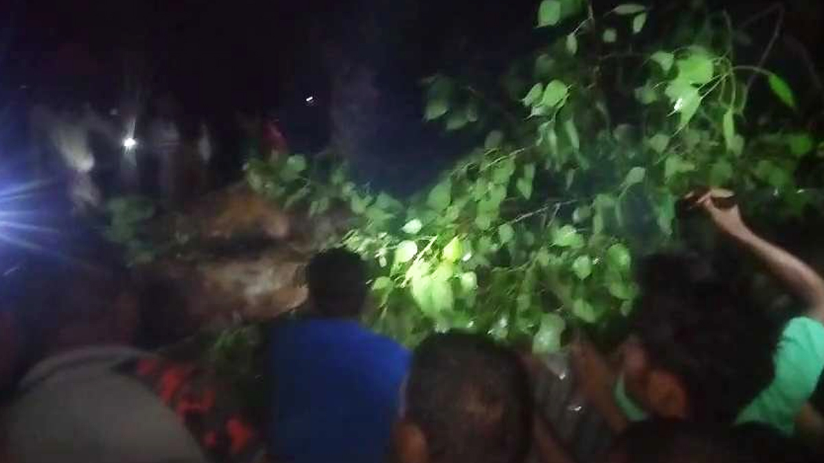 রাজশাহীতে চায়ের দোকানের ওপর গাছ উপড়ে পড়ে নিহত ২