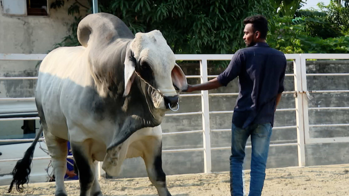 সাদেক অ্যাগ্রোতে উচ্ছেদ অভিযান চালাবে ডিএনসিসি