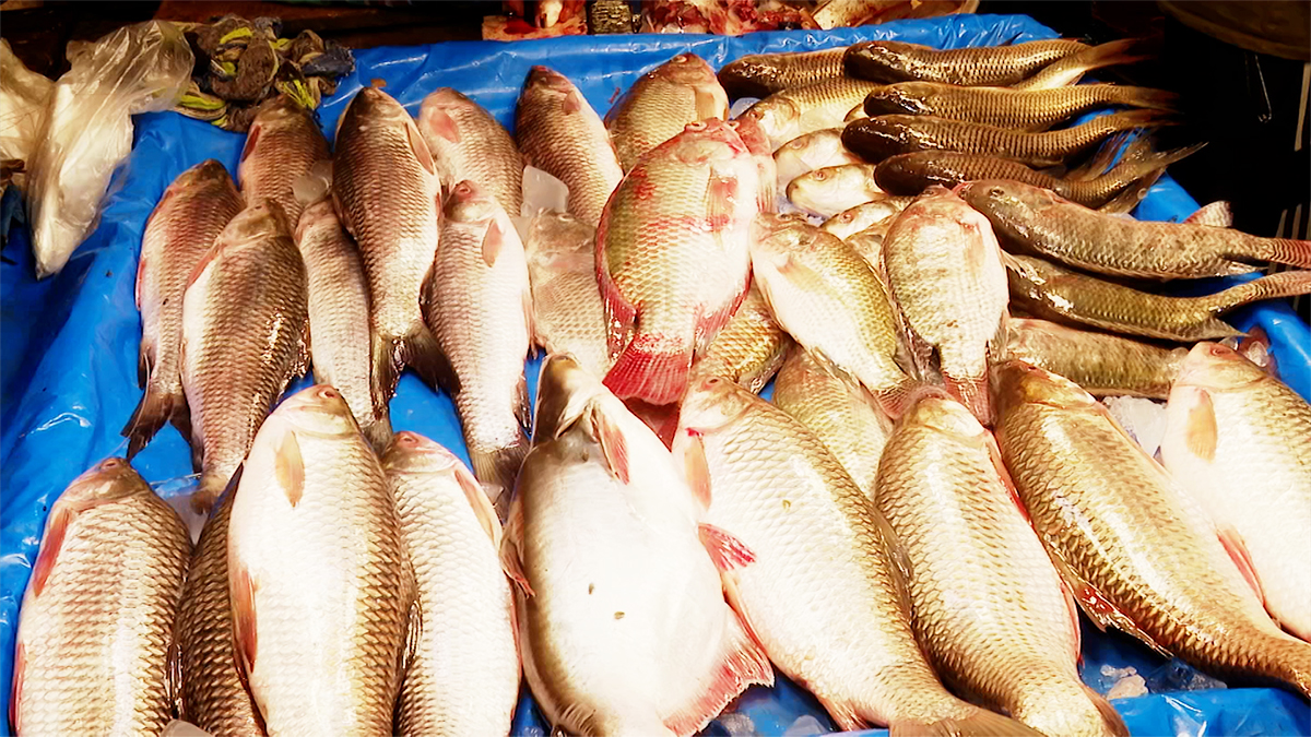 গরুর মাংসের কেজি ৭৫০ টাকা, মাছের বাজারে উত্তাপ