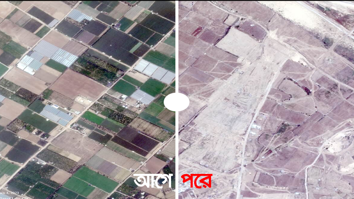 ইসরায়েলি হামলায় পুরোপুরি ধ্বংস গাজার কৃষিজমি
