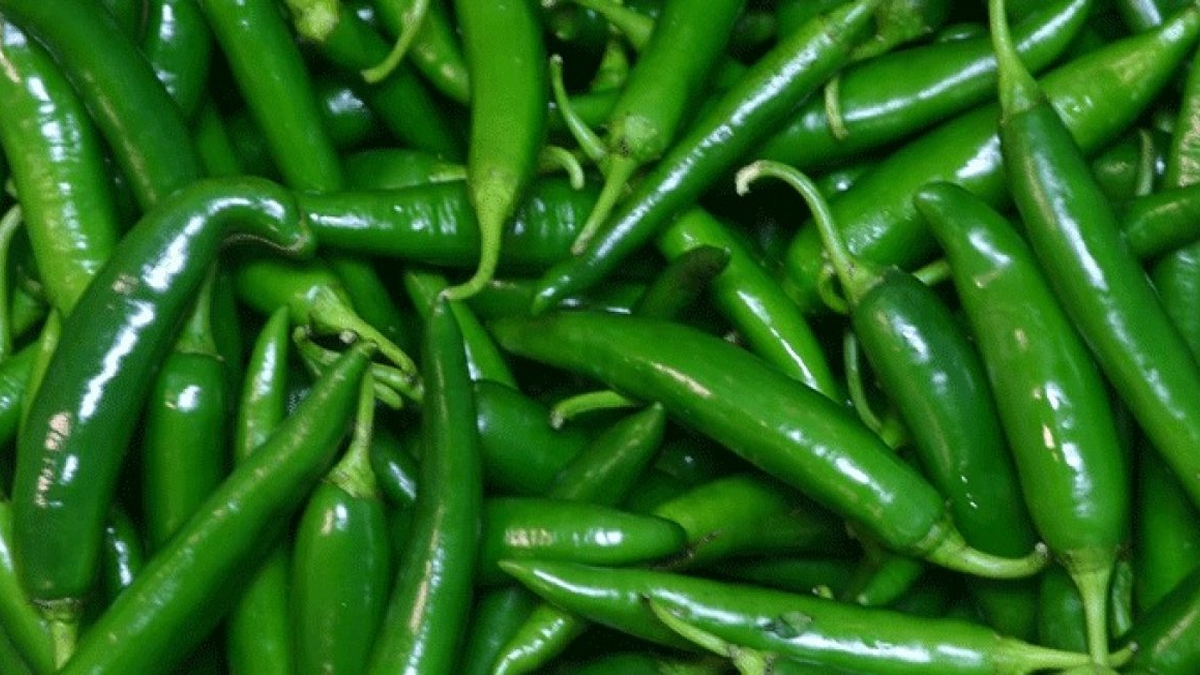 কাঁচা মরিচের আমদানি বাড়লেও বাজারে প্রভাব নেই
