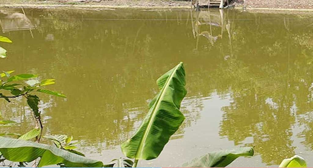 নওগাঁয় পুকুরে ডুবে যমজ ভাইয়ের মৃত্যু