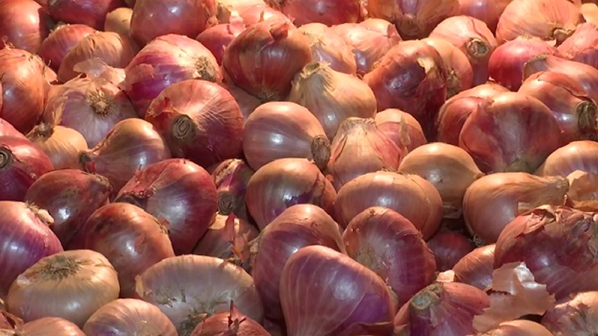 কমতে শুরু করেছে পেঁয়াজের দাম