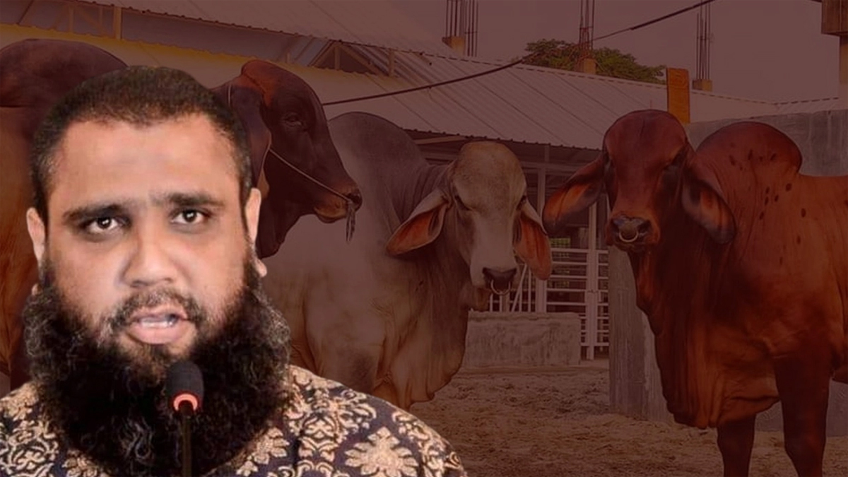 সাদিক অ্যাগ্রোর ৪ প্রতিষ্ঠানে এনবিআরের অভিযান, ১ কোটি ৩১ লাখ টাকার ভ্যাট ফাঁকি