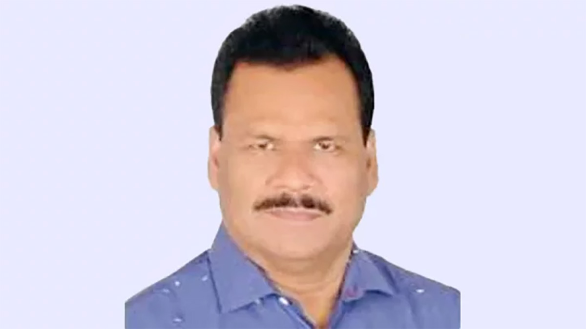 শেখ হাসিনার গাড়িবহরে হামলা: বিএনপি নেতা হাবিবসহ ৩৬ নেতাকর্মীর জামিন