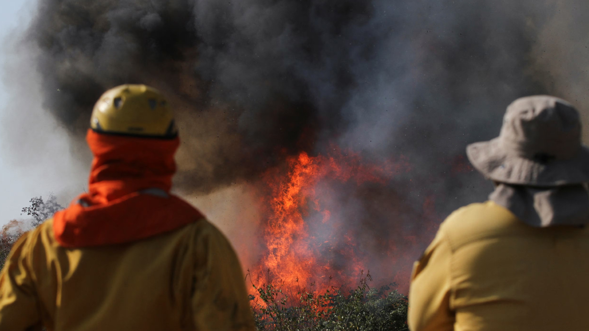 বলিভিয়ায় দাবানলের কবলে ২০ লাখ হেক্টর জমি