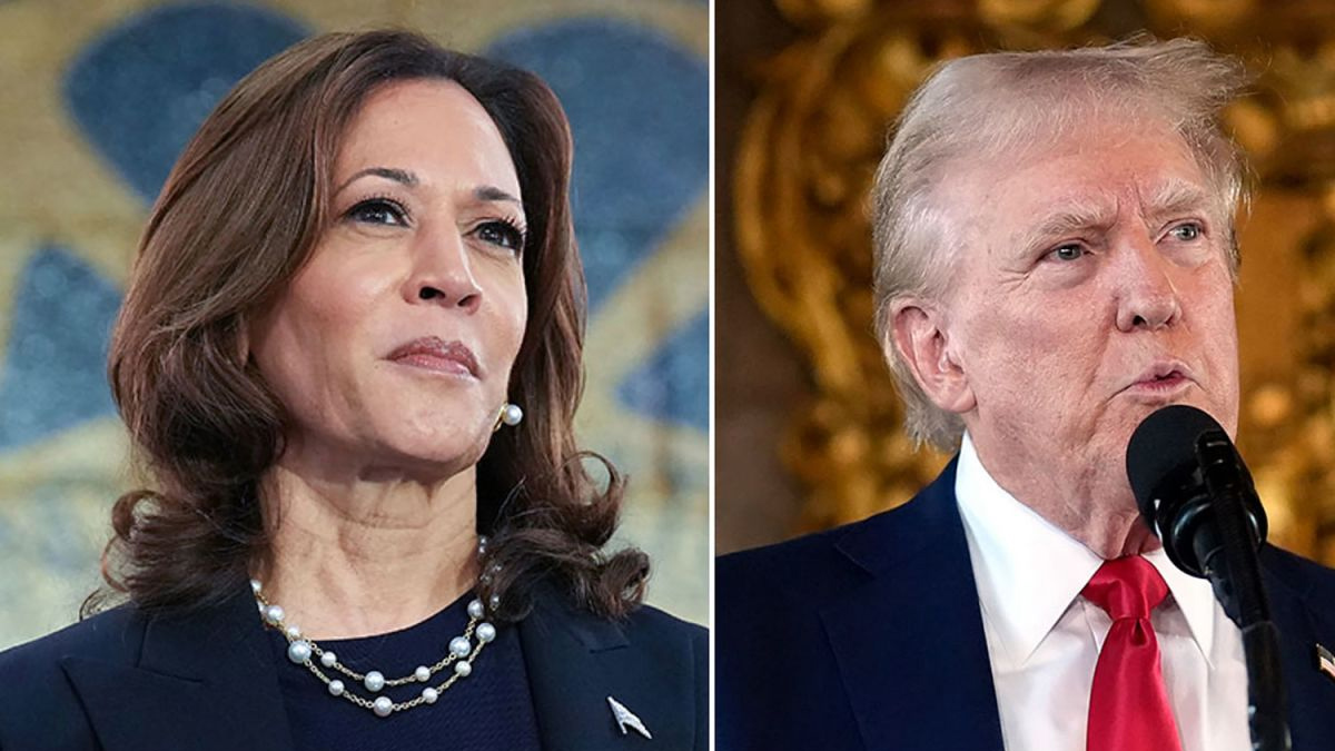 যুক্তরাষ্ট্রের নির্বাচন ঘিরে ব্যস্ত কমলা, পিছিয়ে নেই ট্রাম্পও