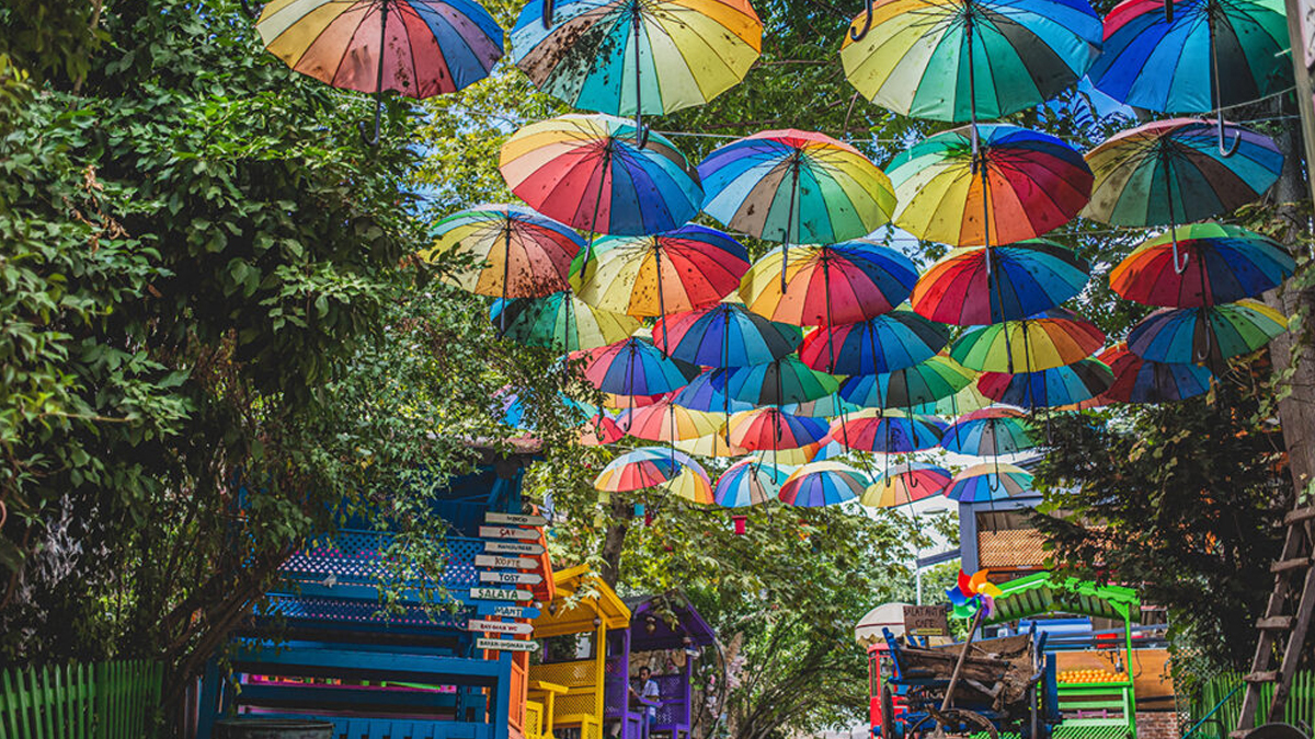কীভাবে এলো রোদ-বৃষ্টির বন্ধু ‘ছাতা’, আছে কত ধরনের?
