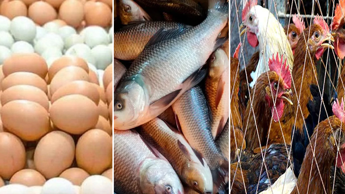 ফের অস্থির মাছ-মুরগি-ডিমের বাজার