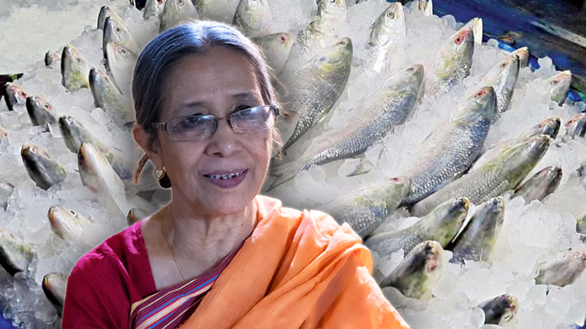 ভারতে ইলিশ পাঠানোর অনুমতি বাণিজ্য মন্ত্রণালয়ের, আমাদের নয়: মৎস্য উপদেষ্টা
