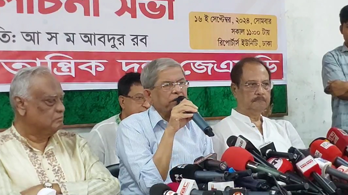 ‘সব সংস্কার কাজ অন্তর্বর্তী সরকার করলে তো জনগণ ও সংসদের দরকার নেই’