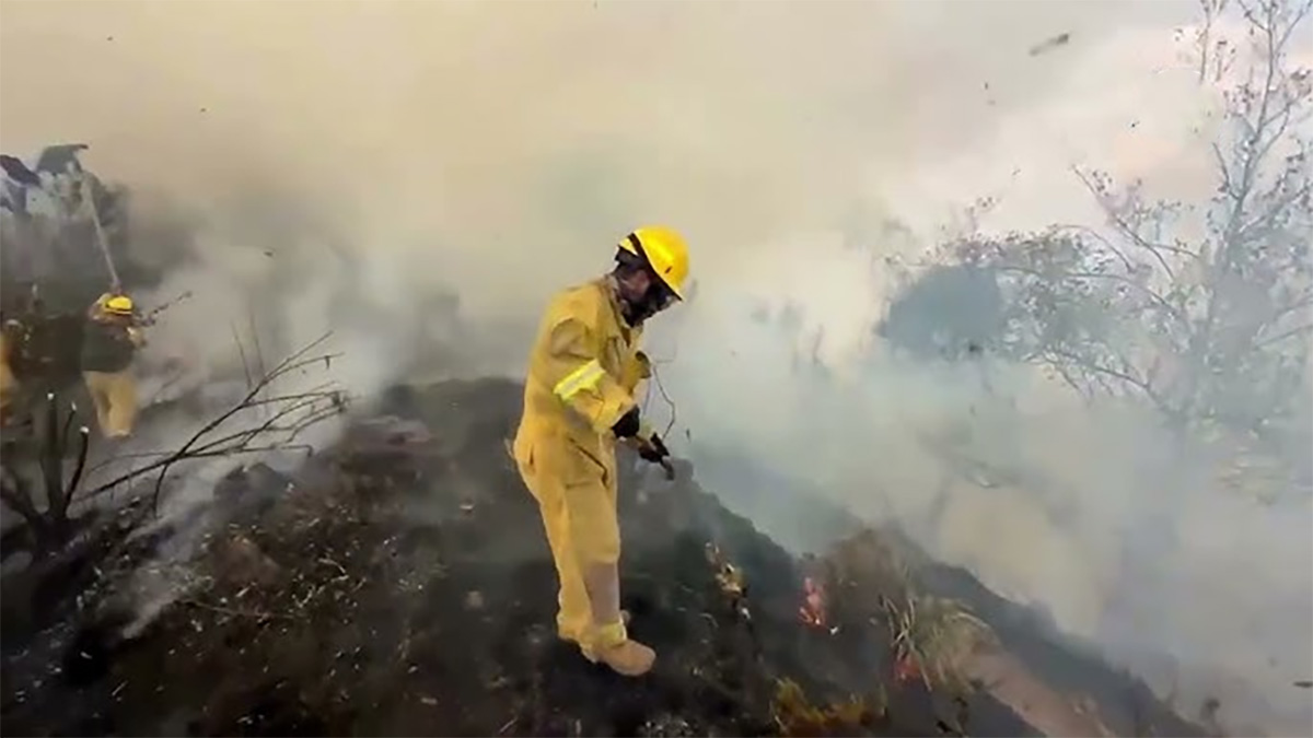 পেরুতে দাবানল, পুড়লো চল্লিশ একর বনভূমি