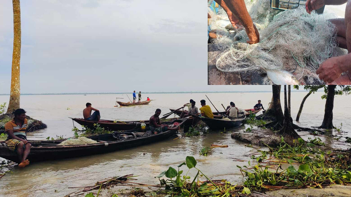 নিষেধাজ্ঞা না মেনে বাউফলে ধরা হচ্ছে ইলিশ