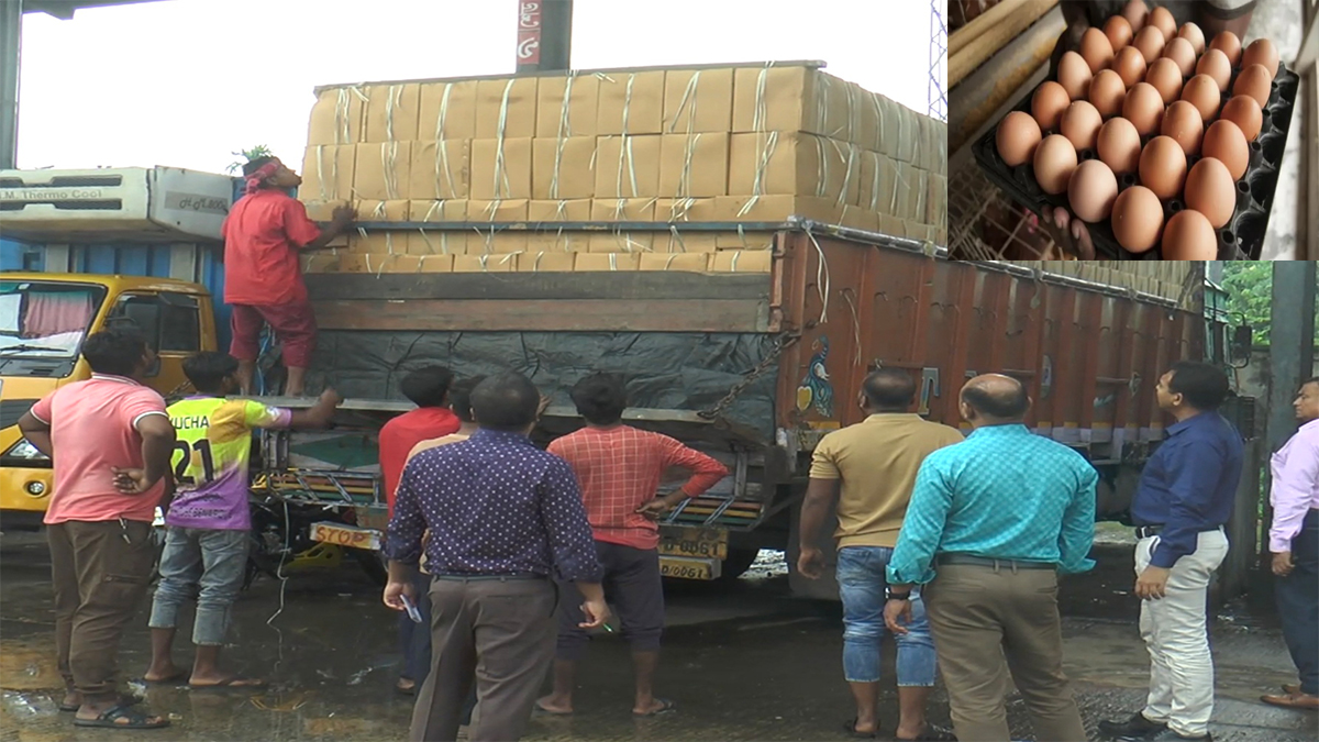 ফের ভারত থেকে এলো ২ লাখ ৩১ হাজার ডিম
