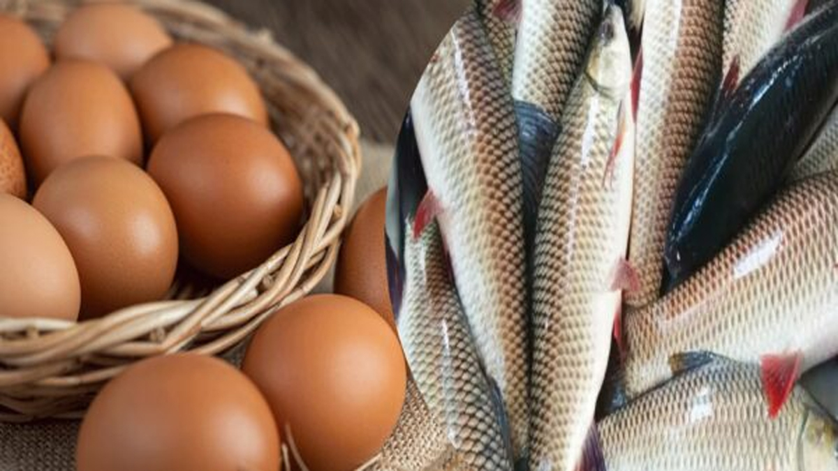 মাছ-ডিম যাচ্ছে ধরা ছোঁয়ার বাইরে