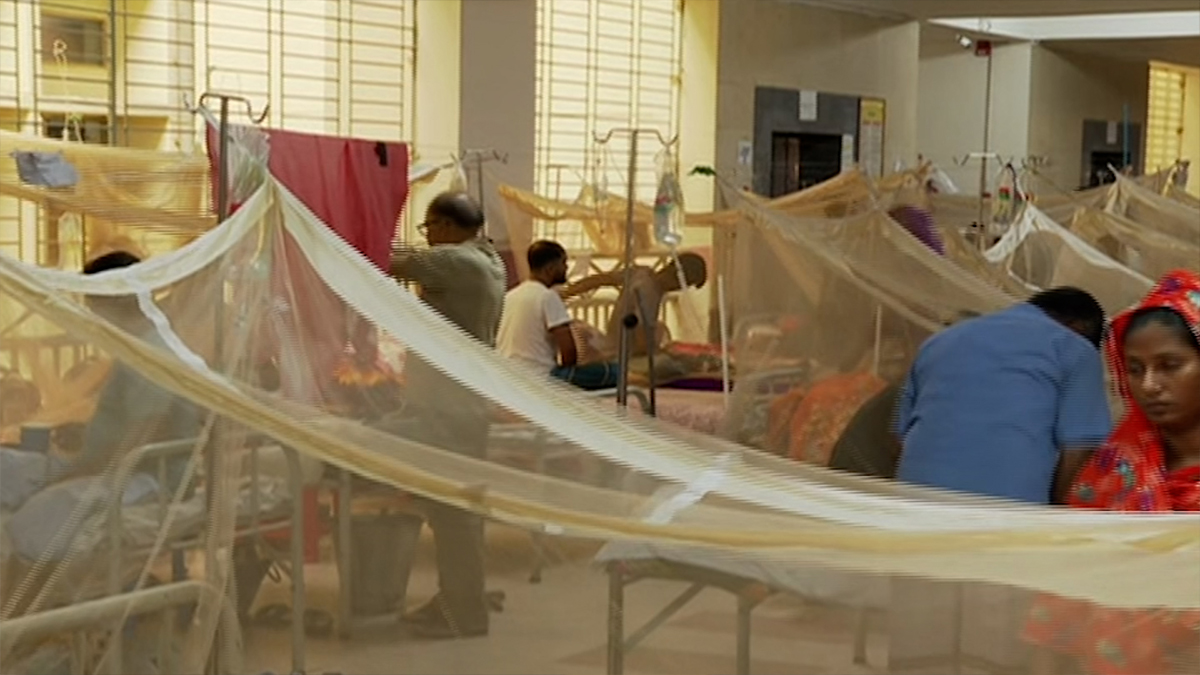 থামছেই না ডেঙ্গুর প্রকোপ, হাসপাতালে বাড়ছে রোগী