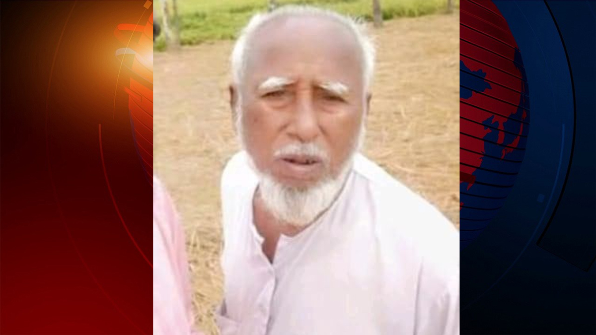 জামালপুর মৌমাছির কামড়ে বৃদ্ধের মৃত্যু