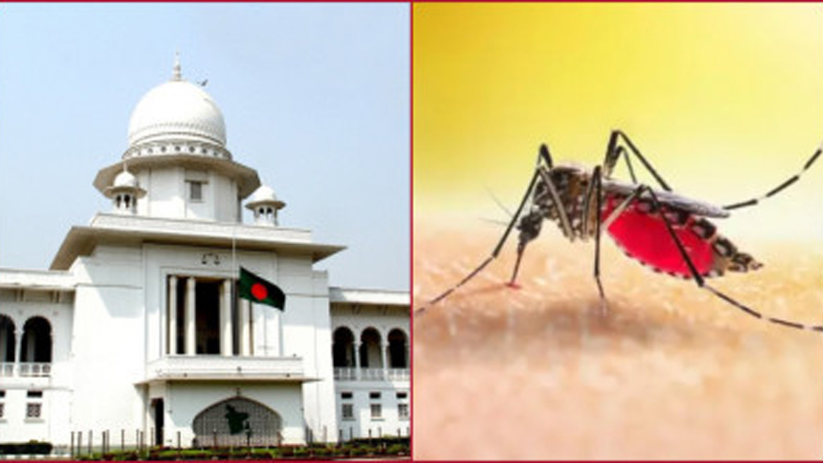 ডেঙ্গু নিয়ন্ত্রণে কার্যকর পদক্ষেপ গ্রহণের নির্দেশ হাইকোর্টের