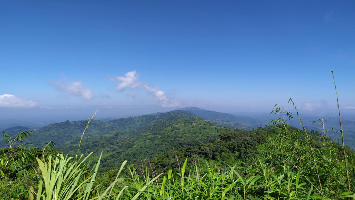 ঘুরতে গেলে বান্দরবান দেখতে হবে যেসব স্থান