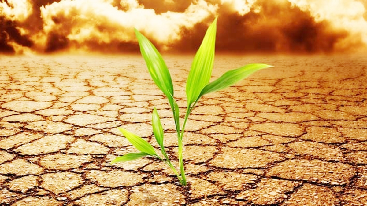 জলবায়ু পরিবর্তনে বছরে ক্ষতি ১২ বিলিয়ন ডলার, সহায়তা মেলে মাত্র ৩ বিলিয়ন: প্রেস সচিব