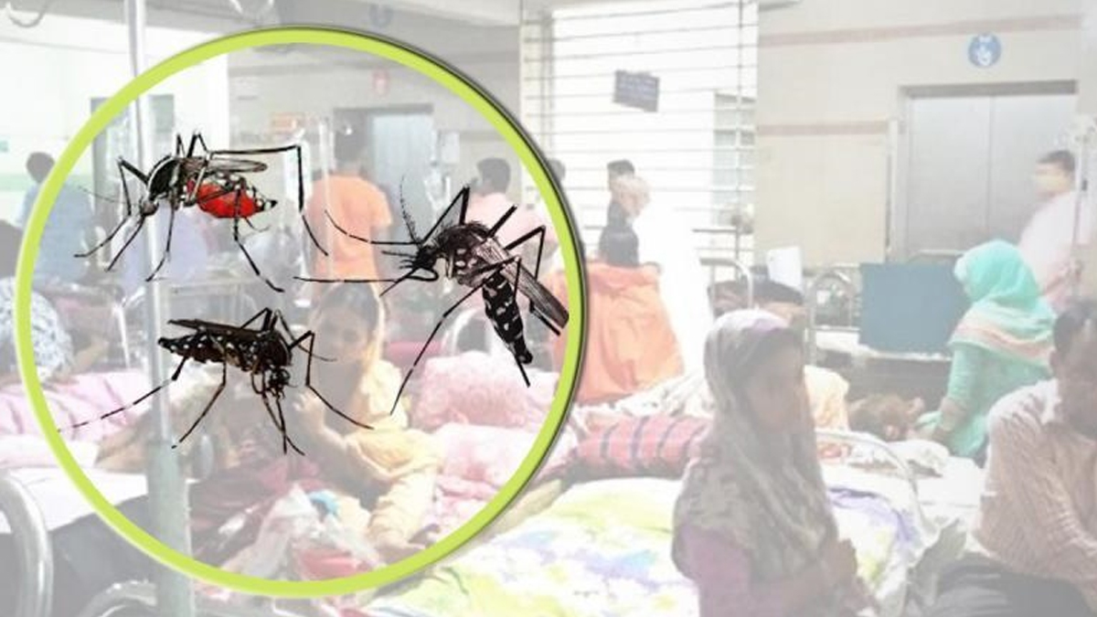 ডেঙ্গুতে একদিনে সর্বাধিক রোগী ভর্তি, ২৫ শতাংশই বরগুনায়