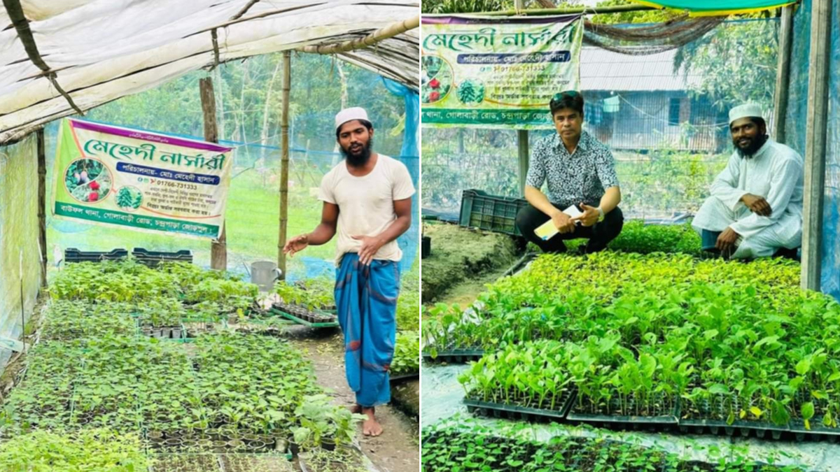 মেহেদীর নার্সারিতে ৩ হাজার প্রজাতির চারা, মাসিক আয় দেড় লাখ টাকা
