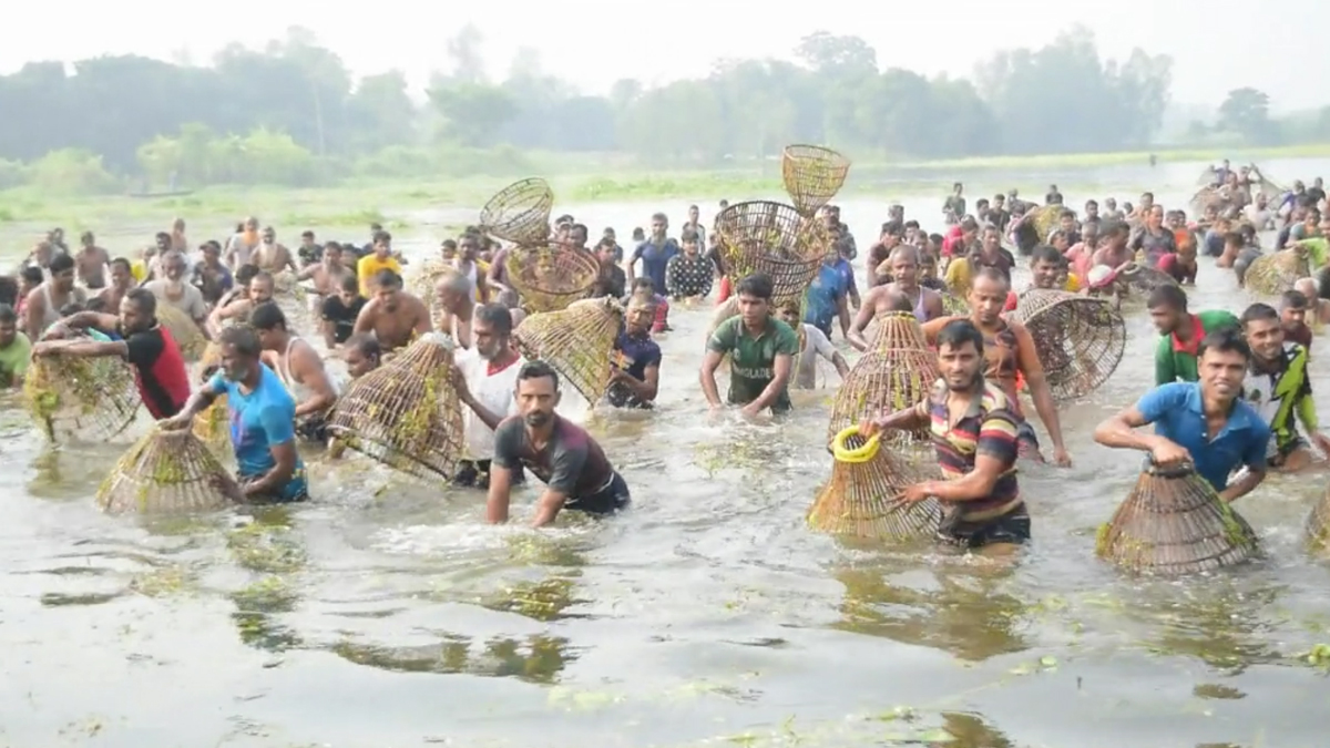 চলনবিলে হয়ে গেল পলো দিয়ে মাছ ধরা উৎসব