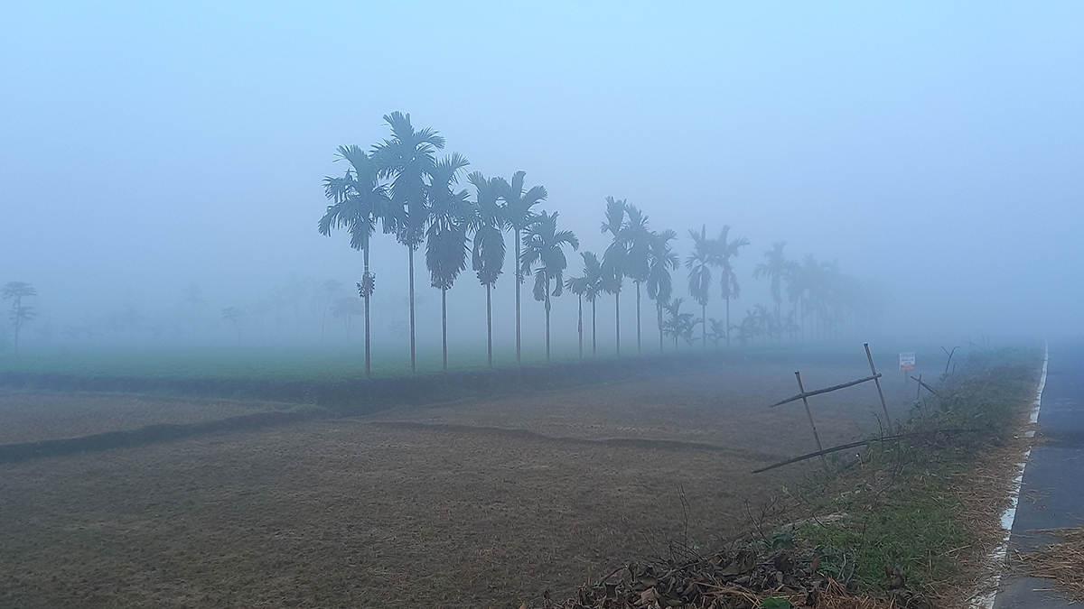 তেঁতুলিয়ায় তাপমাত্রা নামলো ১১ ডিগ্রিতে