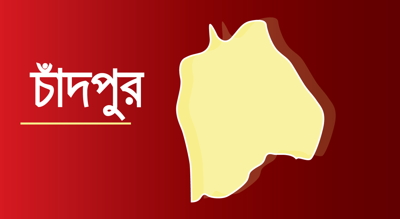 সন্তানদের দেখাশোনার জন্য আনা ভাগ্নিকে নির্যাতন, মামা-মামি আটক