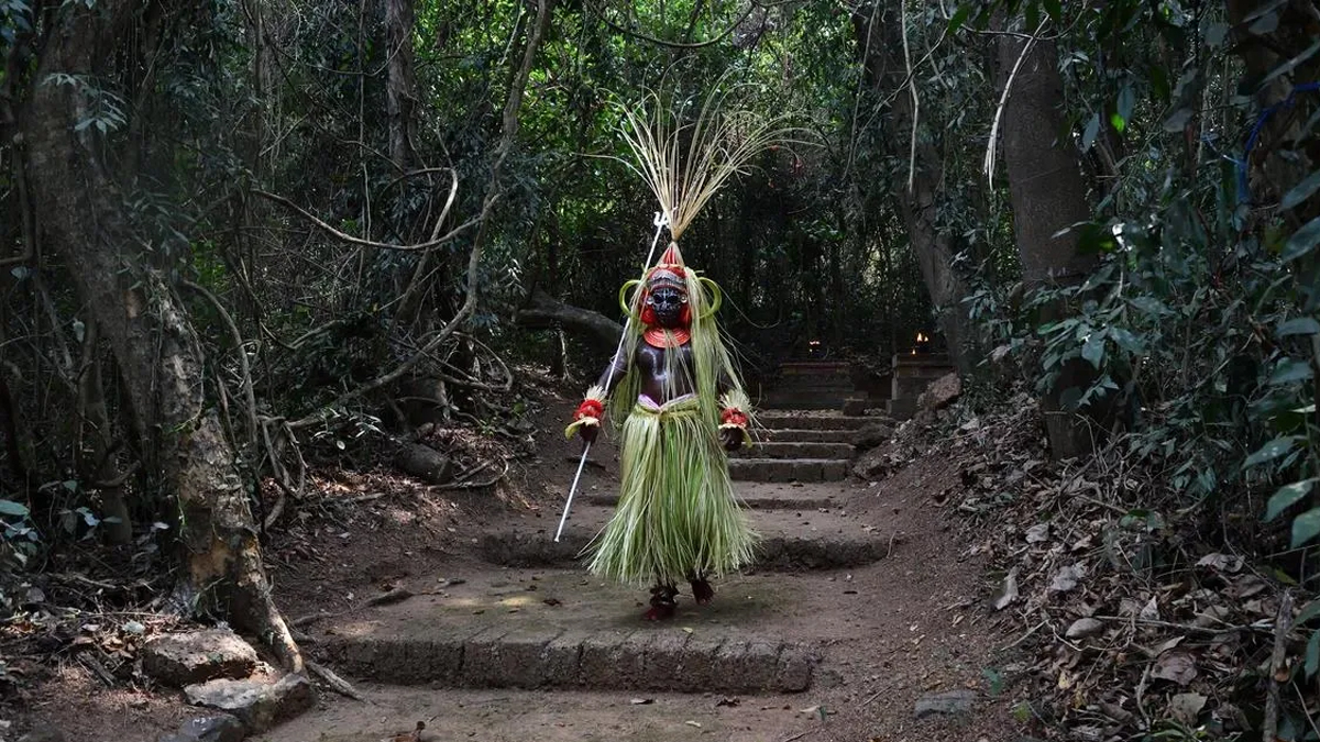 রাজস্থানে কন্যা সন্তান জন্মালেই রোপণ করা হয় ১১১টি গাছ