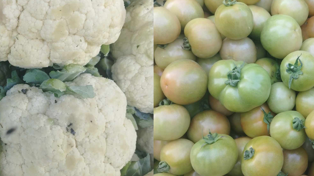 সাতক্ষীরায় সবজি বাজার নিম্নমূখী, দৈনিক ২৫ টন সরবরাহ হচ্ছে জেলার বাইরে