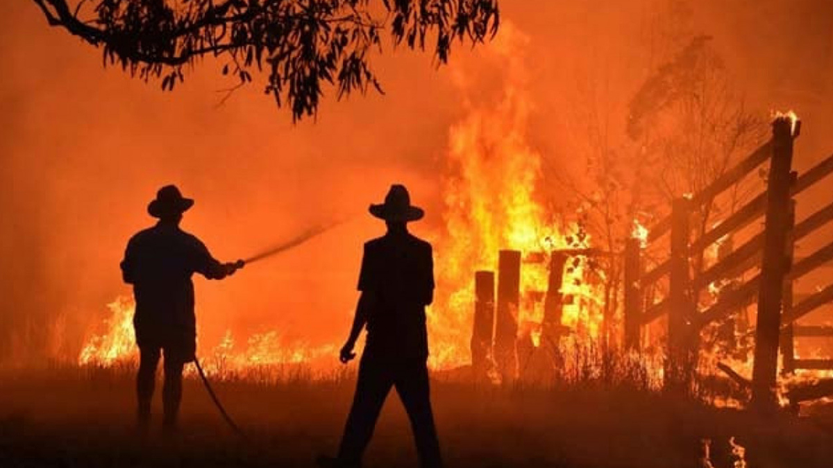 জাপানের কয়েক স্থানে আগুন, নিহত ৮