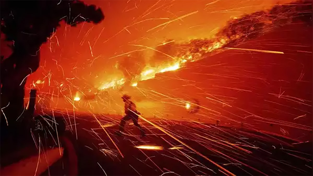 দাবানলে বিপর্যস্ত ক্যালিফোর্নিয়া, ক্ষতিগ্রস্ত ২ হাজার স্থাপনা