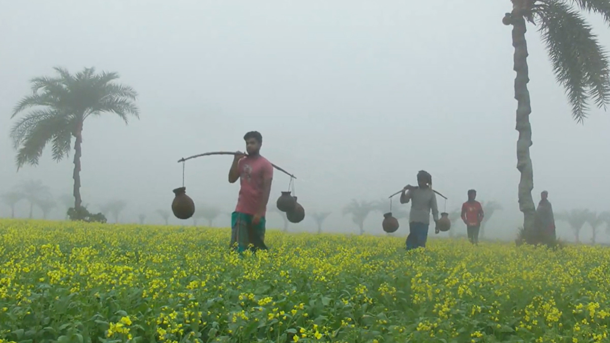 কমবে সারাদেশের তাপমাত্রা, চুয়াডাঙ্গায় আজ ১০ দশমিক ২