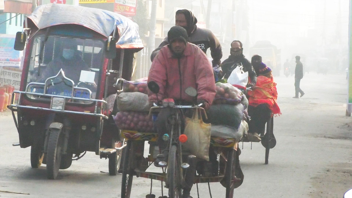 তীব্র শীতে আড়ষ্ট চুয়াডাঙ্গা, তাপমাত্রা নেমেছে ৮ ডিগ্রির ঘরে