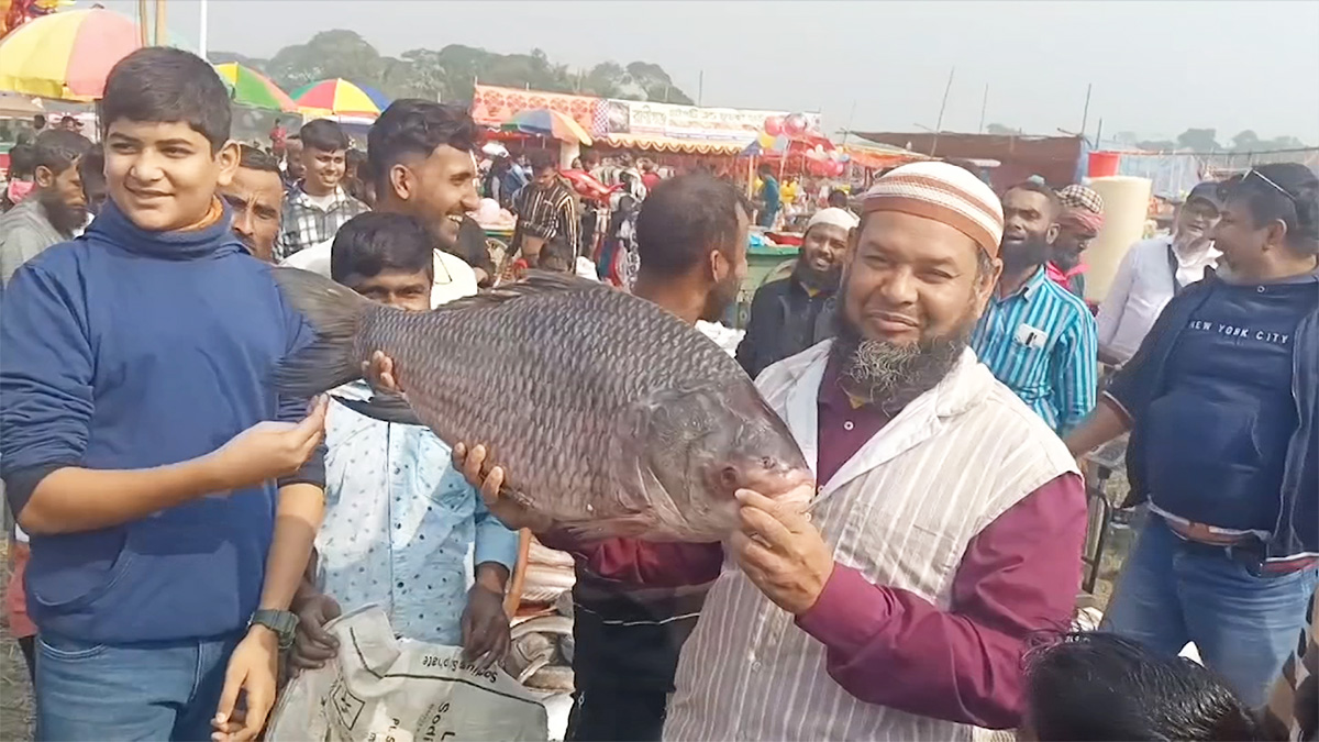 গাজীপুরে বসেছে ‘জামাই মেলা’