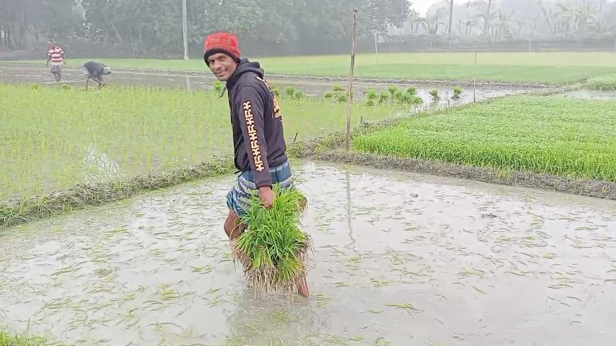 সাতক্ষীরায় শীতের দাপট, দেখা নেই সূর্যের