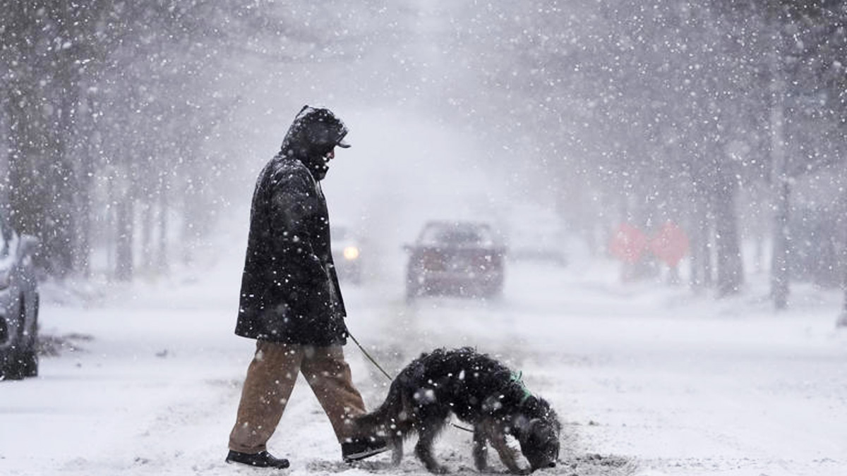 দুর্যোগপূর্ণ আবহাওয়ায় যুক্তরাষ্ট্রের ৭ অঙ্গরাজ্যে জরুরি অবস্থা জারি