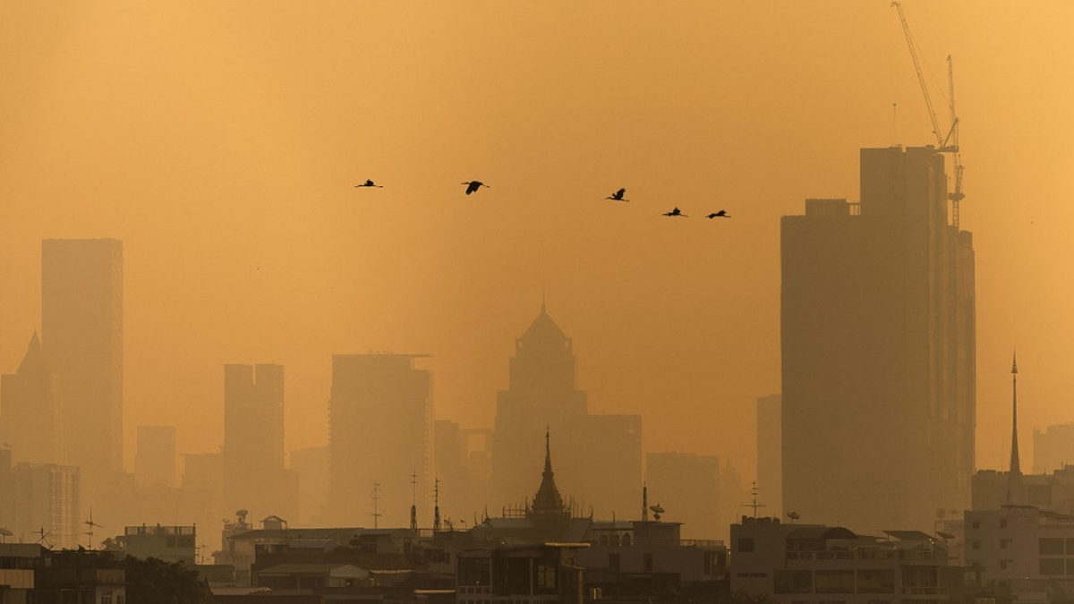 বায়ুদূষণের কারণে ব্যাংককে ২৫০টি স্কুল বন্ধ ঘোষণা