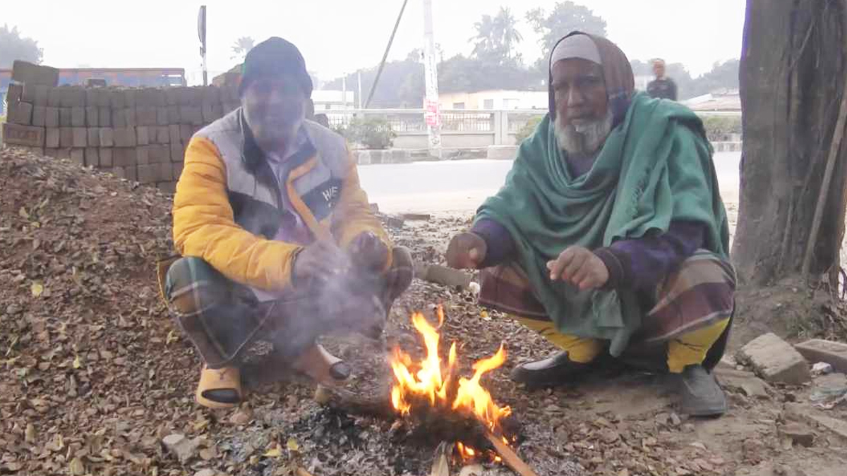 ঘন কুয়াশা আর হিম বাতাসে কাঁপছে চুয়াডাঙ্গা