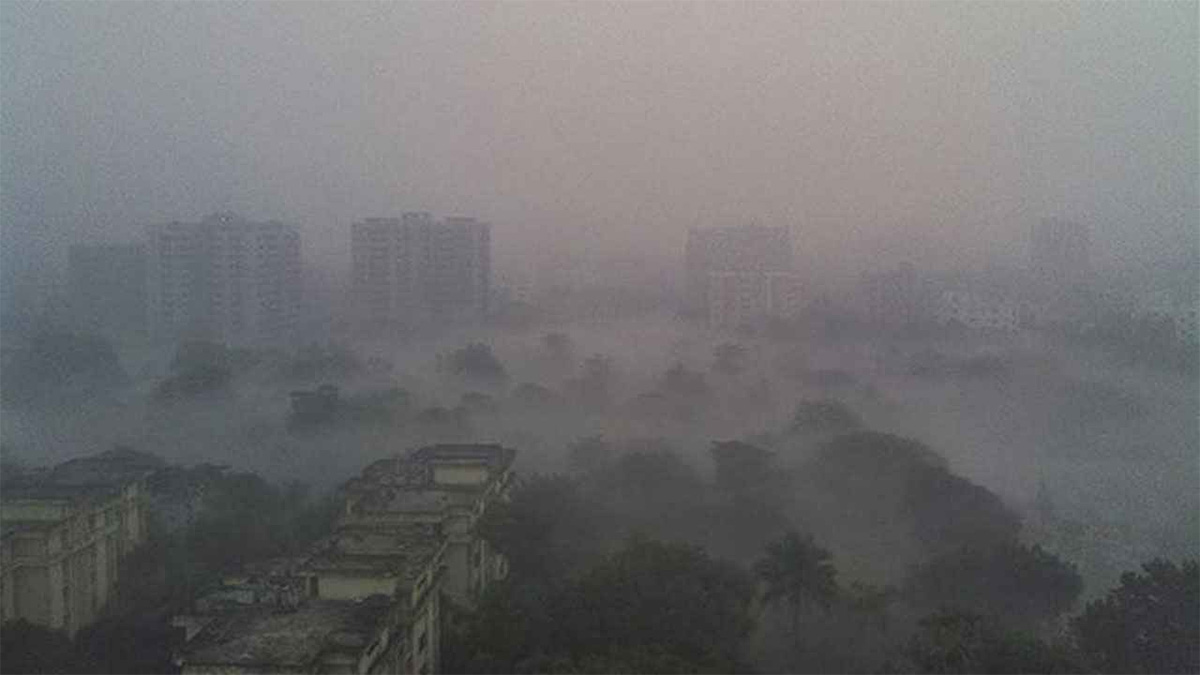 ঘন কুয়াশার সঙ্গে ঠান্ডা বাতাস, শীতে বিপর্যস্ত জনজীবন