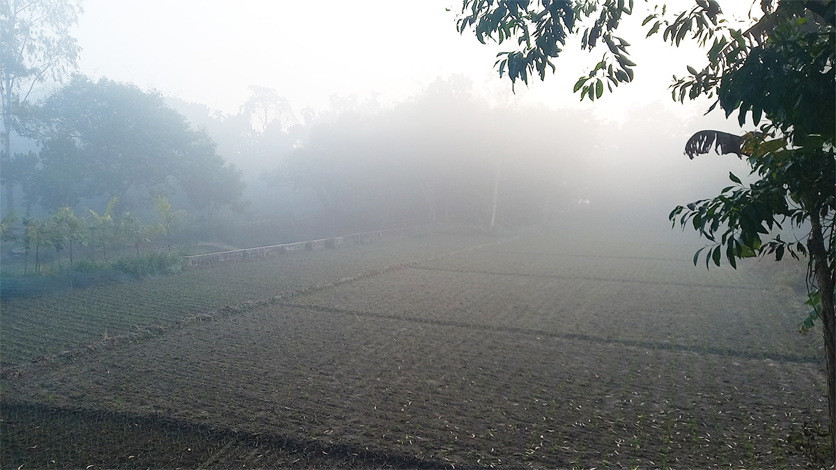 দেশের সর্বনিম্ন তাপমাত্রার রেকর্ড পঞ্চগড়ের তেঁতুলিয়ায়