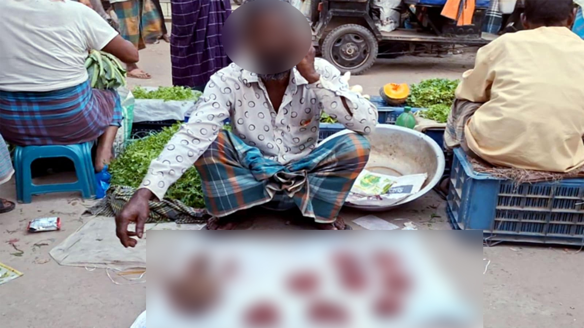 উপকারিতা বর্ণনা করে চাঁদপুরে প্রকাশ্যে শেয়ালের মাংস বিক্রি