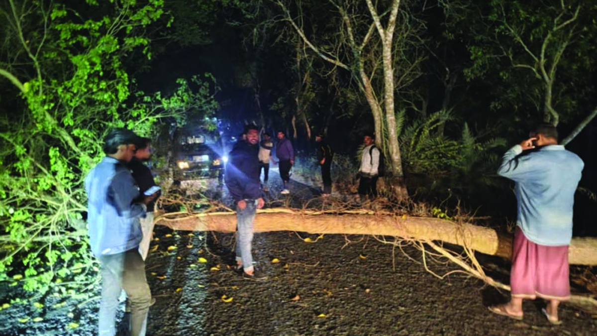 সড়কে গাছ ফেলে যাত্রীবাহী বিআরটিসি বাস ও মাইক্রোবাসে ডাকাতি